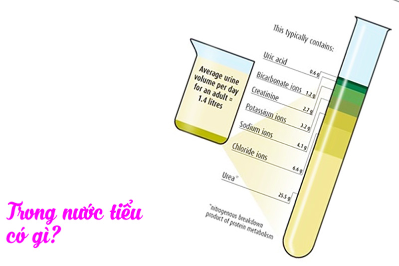 nuoc tieu co gi